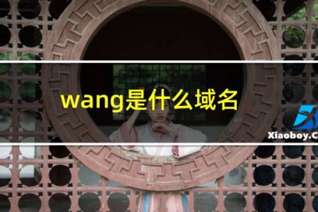 .wang是什么域名