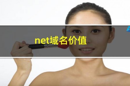 net域名价值