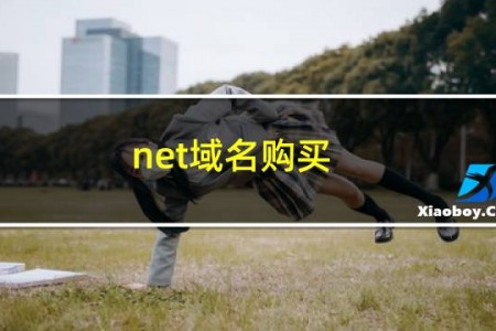 net域名购买