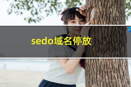 sedo域名停放